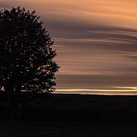 Buy canvas prints of Alone At Dusk by Paul Welsh