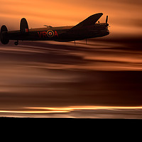 Buy canvas prints of Born To Fly by Paul Welsh