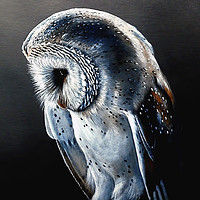 Buy canvas prints of Barn Owl by Paul Welsh