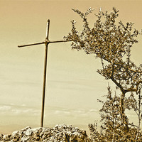 Buy canvas prints of Cross and Thorns by Brian Spooner