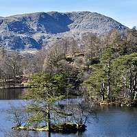 Buy canvas prints of Tarn Hows by Brian Spooner