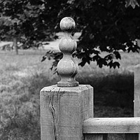 Buy canvas prints of Wooden post on a bridge at Woburn Abbey Gardens by Mitchell Nortje