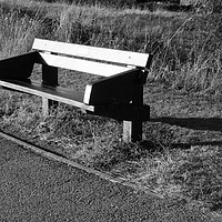 Buy canvas prints of Wooden bench at Willen Lake by Mitchell Nortje