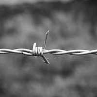 Buy canvas prints of Barb wire fence by Mitchell Nortje