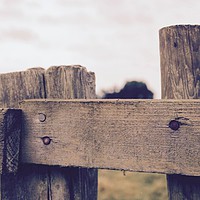 Buy canvas prints of Wooden fence in a field by Mitchell Nortje