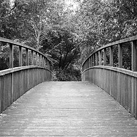 Buy canvas prints of Wooden bridge at Ouzel Valley Park by Mitchell Nortje