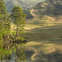 Buy canvas prints of Reflection at Blea Tarn by JUDI LION