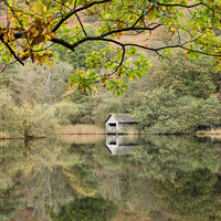 Buy canvas prints of Rydal Water Reflections by JUDI LION