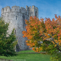 Buy canvas prints of Chepstow Castle in Autumn by JUDI LION