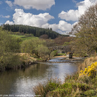 Buy canvas prints of East Dart River at Two Bridges by JUDI LION