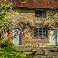 Buy canvas prints of Stone Cottage and Wisteria by JUDI LION