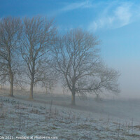 Buy canvas prints of Three trees on a frosty and misty morning by JUDI LION
