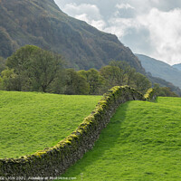Buy canvas prints of A curving dry stone wall by JUDI LION