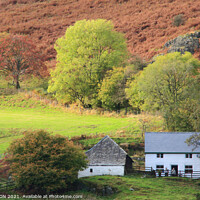 Buy canvas prints of "Hillfoot" Cottage by JUDI LION