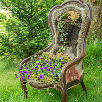 Buy canvas prints of Old Chair with Viola Cushion by JUDI LION