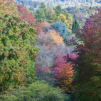 Buy canvas prints of Glorious autumn colours by JUDI LION