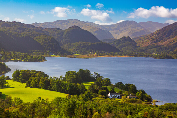 Detail of Derwent Water in Lake District Picture Board by Steve Heap
