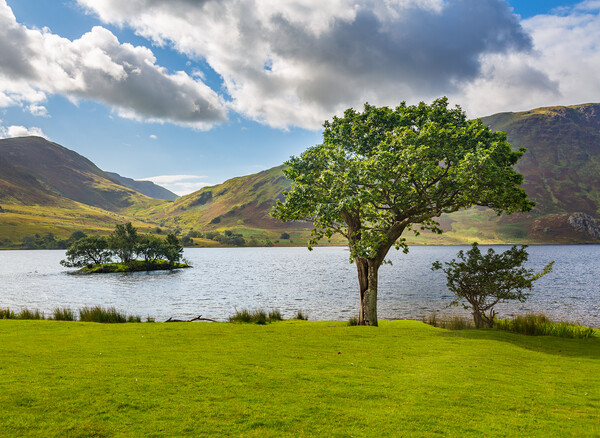 View over Crummock Water in Lake District Picture Board by Steve Heap