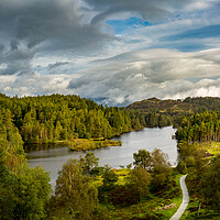 Buy canvas prints of View over Tarn Hows in English Lake District by Steve Heap