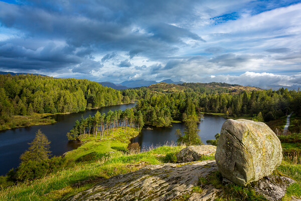 Tarn Hows in English Lake District Picture Board by Steve Heap