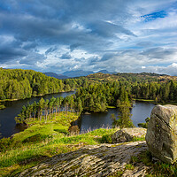 Buy canvas prints of Tarn Hows in English Lake District by Steve Heap