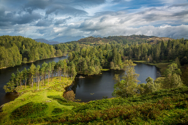 Clouds over Tarn Hows in English Lake District Picture Board by Steve Heap