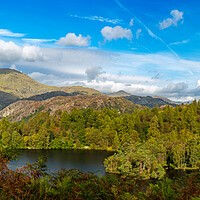 Buy canvas prints of Panorama of Tarn Hows in English Lake District by Steve Heap