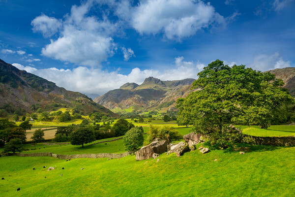 Langdale Pikes in Lake District Picture Board by Steve Heap