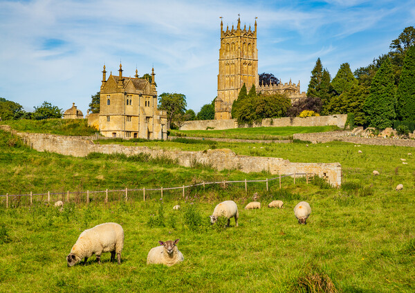 Church St James across meadow in Chipping Campden Picture Board by Steve Heap