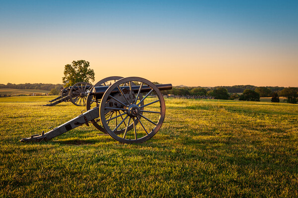 Cannons at Manassas Battlefield Picture Board by Steve Heap