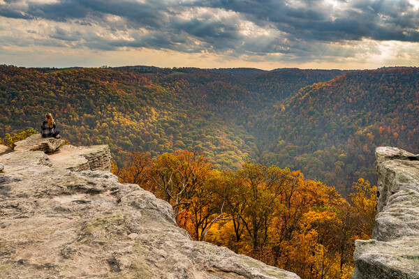 Female Hiker overlooks forest at Coopers Rock WV Picture Board by Steve Heap