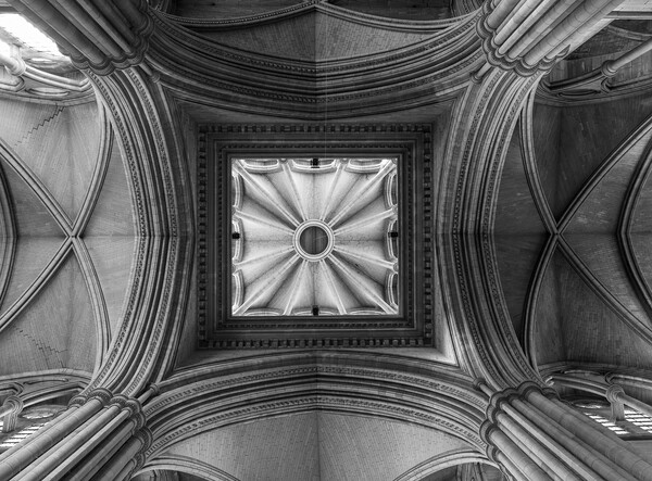 Detail of roof in Truro cathedral in Cornwall Picture Board by Steve Heap