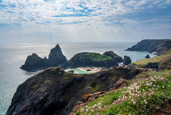 Dramatic rocks at Kynance Cove near the Lizard in Cornwall Picture Board by Steve Heap