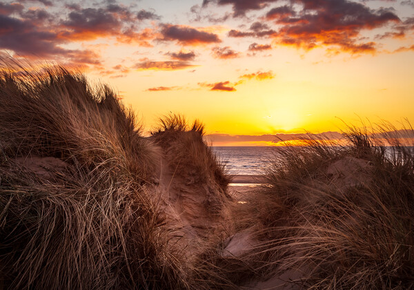 Formby Beach Sunset Picture Board by Steve Heap