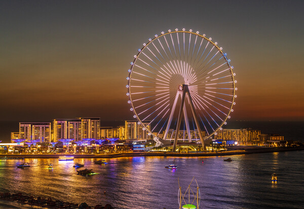 Light show on Ain Dubai observation wheel at sunset Picture Board by Steve Heap