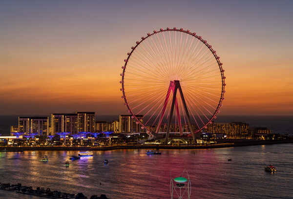 Light show on Ain Dubai observation wheel at sunse Picture Board by Steve Heap