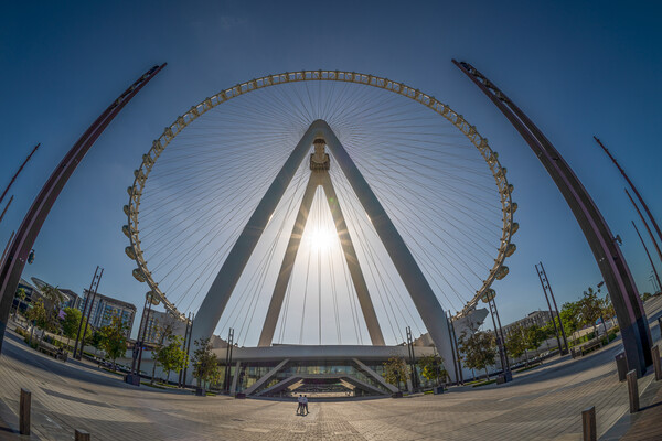 Fisheye view of Ain Dubai observation wheel on Blu Picture Board by Steve Heap