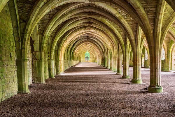 Cellarium at Fountains Abbey ruins in Yorkshire, E Picture Board by Steve Heap