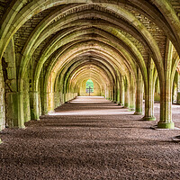 Buy canvas prints of Cellarium at Fountains Abbey ruins in Yorkshire, E by Steve Heap