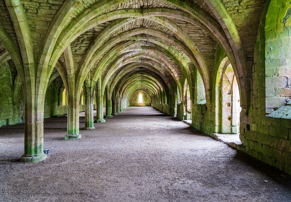 Cellarium at Fountains Abbey ruins in Yorkshire, England Picture Board by Steve Heap