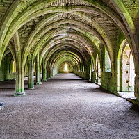 Buy canvas prints of Cellarium at Fountains Abbey ruins in Yorkshire, England by Steve Heap