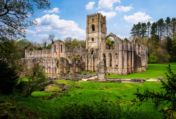 Springtime at Fountains Abbey ruins in Yorkshire,  Picture Board by Steve Heap
