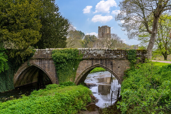 Stone bridge at Fountains Abbey ruins in Yorkshire Picture Board by Steve Heap