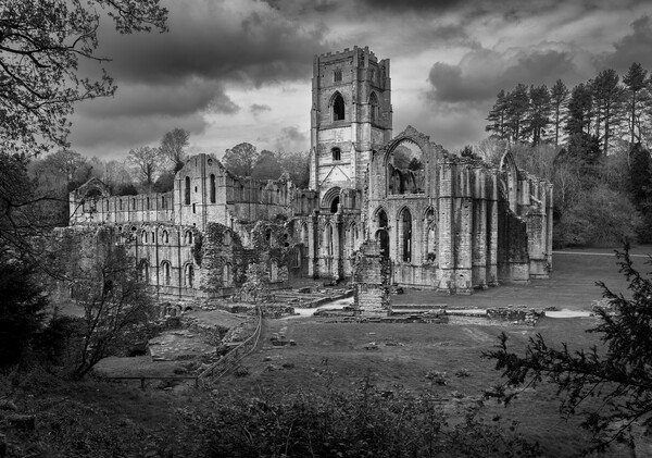 Monochrome view of Fountains Abbey ruins in Yorksh Picture Board by Steve Heap