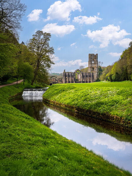 Springtime at Fountains Abbey ruins in Yorkshire, England Picture Board by Steve Heap