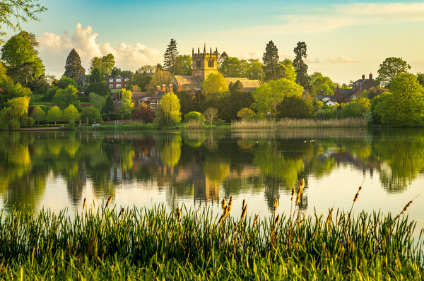 View across the Mere to the town of Ellesmere in Shropshire Picture Board by Steve Heap