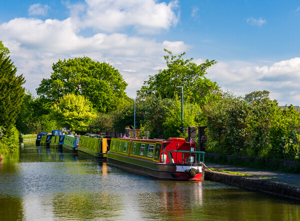 Colorful canal narrowboats in Ellesmere in Shropsh Picture Board by Steve Heap