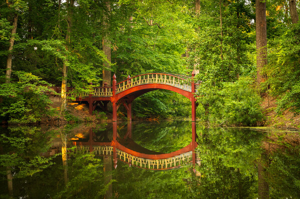 Crim Dell bridge at William and Mary college Picture Board by Steve Heap