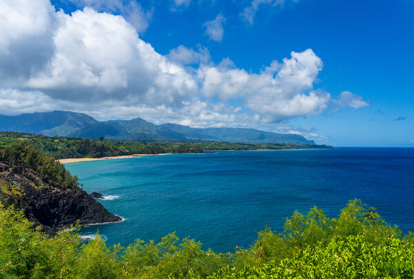 Coastline to Princeville from Kilauae Lighthouse Kauai Picture Board by Steve Heap