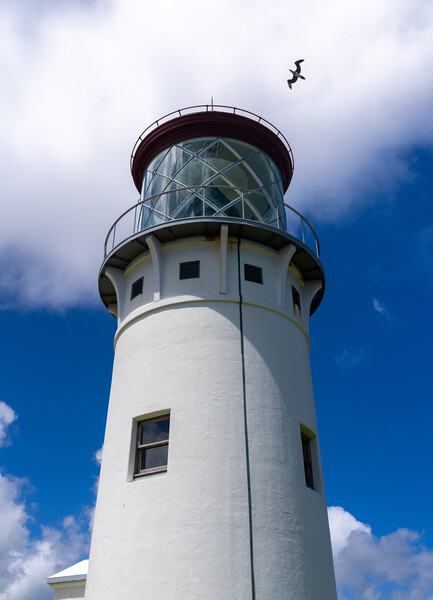 Detail of Kilauae lighthouse against blue sky on Kauai Picture Board by Steve Heap
